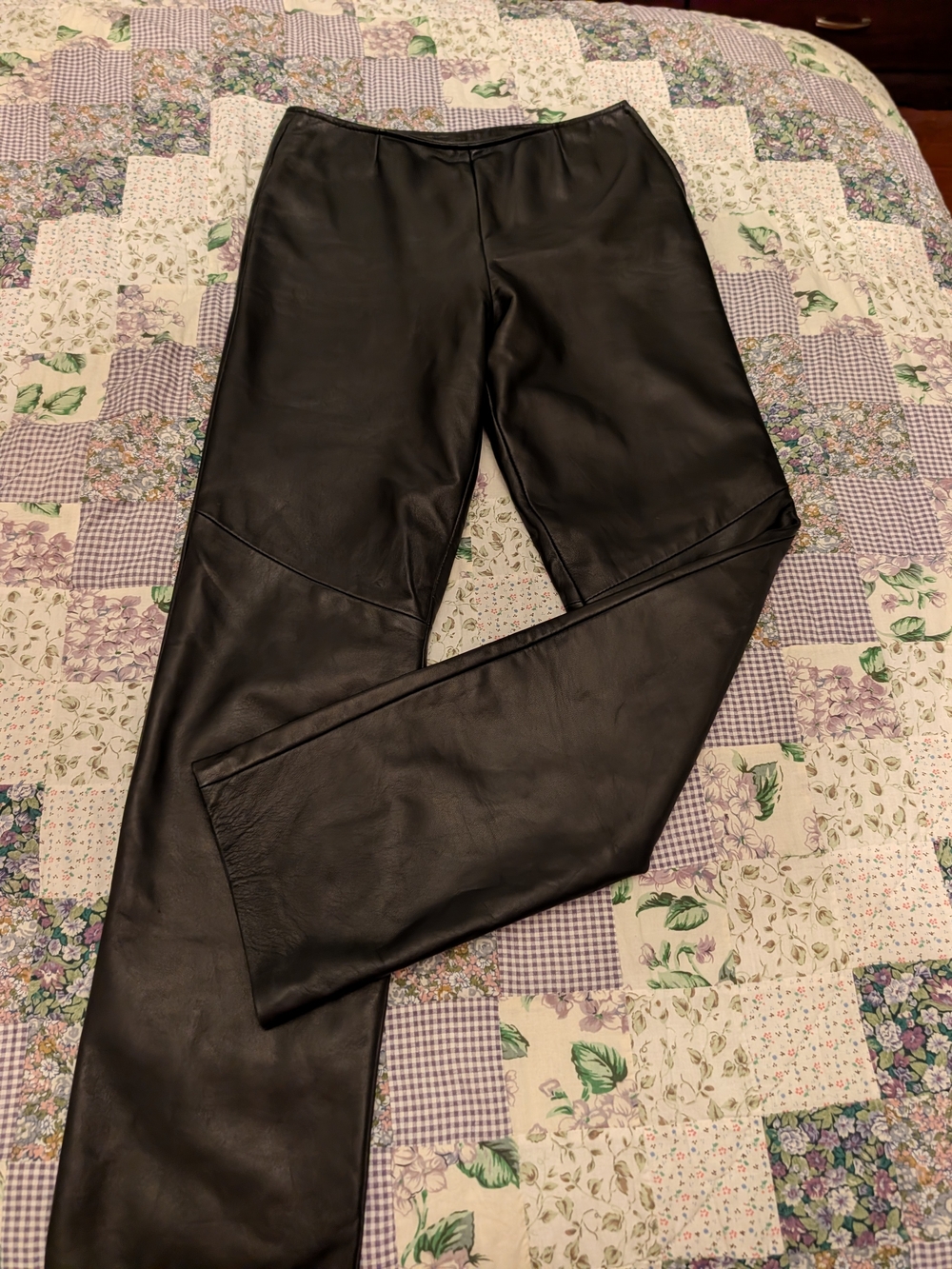 Danier Leather Pants